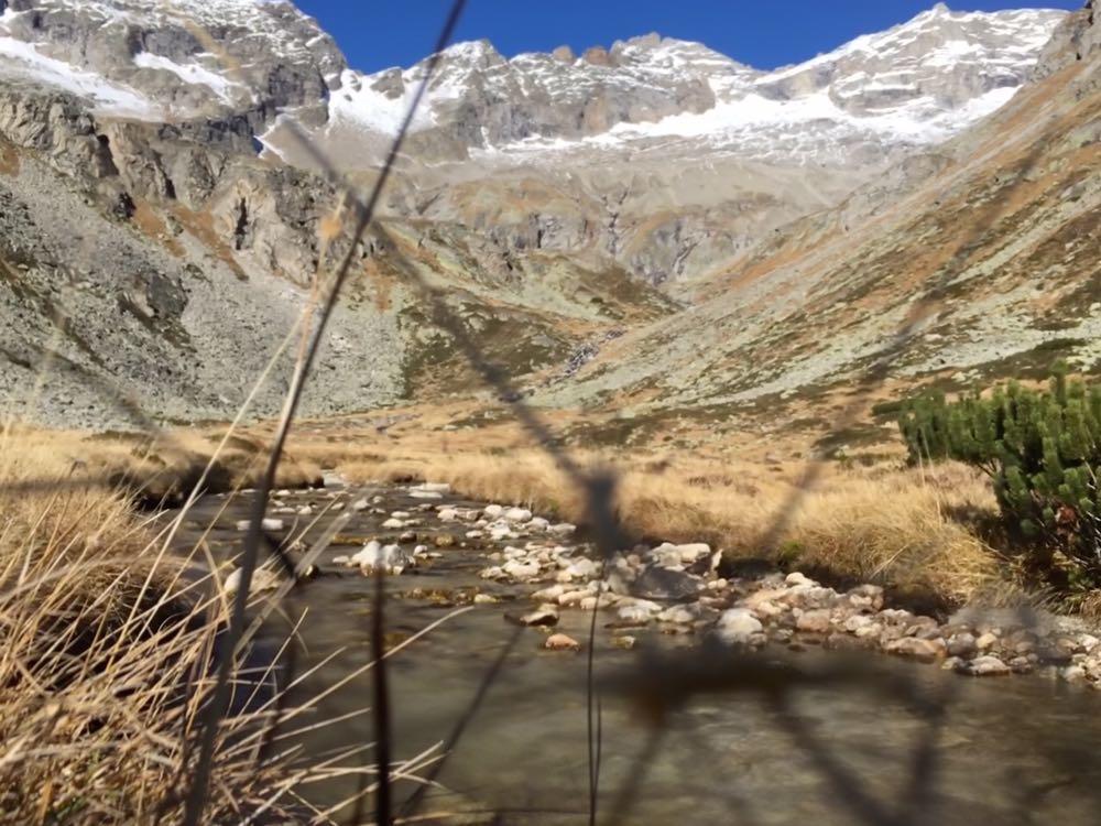 Appartements Alpenblick فينكنبرغ المظهر الخارجي الصورة
